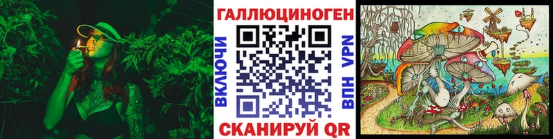 Купить  Кириллов  Псилоцибиновые грибы мухоморы 